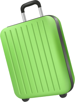 Travel Luggage