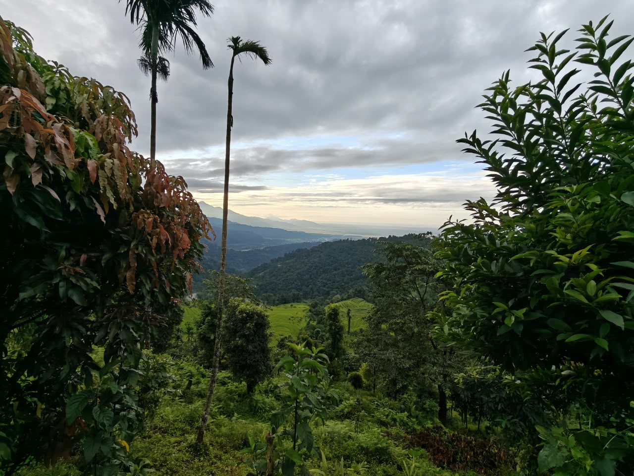 Phuentsholing Overland Gateway to Bhutan - Scenic Foothills Highway